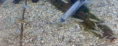 /album/%ec%83%81%ed%92%88%ec%86%8c%ea%b0%9c/a20140212-151427-png/