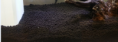 /album/%ec%83%81%ed%92%88%ec%86%8c%ea%b0%9c/a20140212-151806-png/