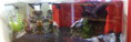 /album/%ec%83%81%ed%92%88%ec%86%8c%ea%b0%9c/a20140212-151856-png/